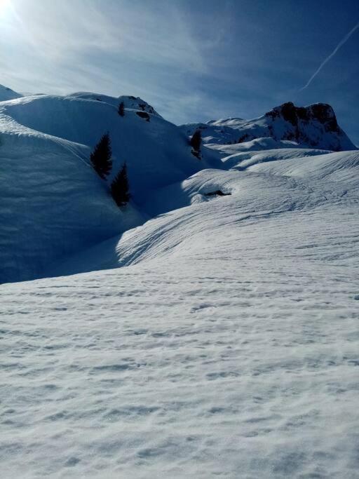 L'Appartement Les Bossons En Lisiere De Foret Dans Le Chalet Genepi Arêches Esterno foto